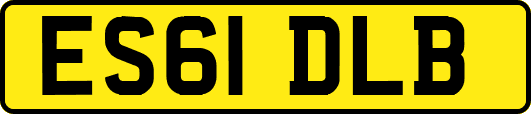 ES61DLB