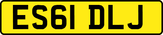 ES61DLJ