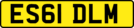 ES61DLM