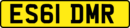 ES61DMR