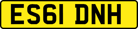 ES61DNH