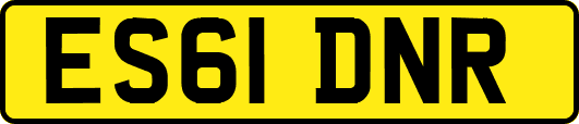 ES61DNR