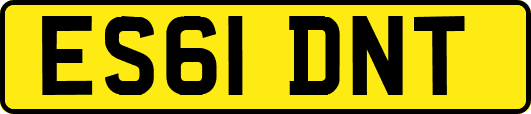 ES61DNT