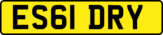 ES61DRY