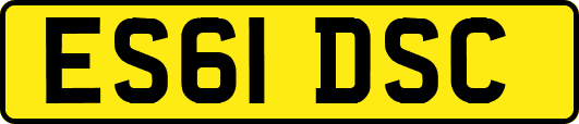 ES61DSC