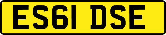 ES61DSE