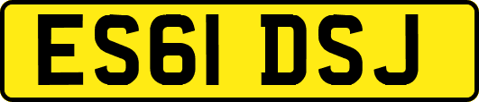 ES61DSJ