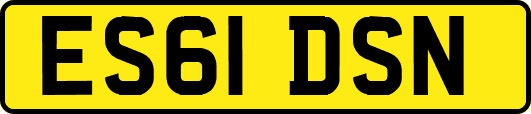 ES61DSN