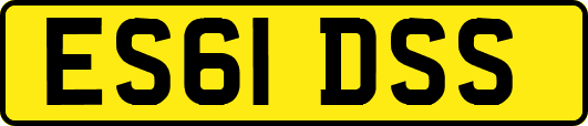 ES61DSS