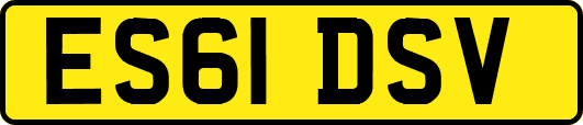 ES61DSV
