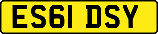 ES61DSY