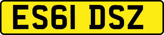 ES61DSZ