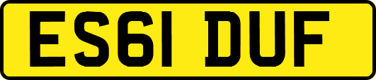 ES61DUF