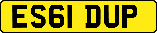 ES61DUP