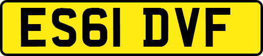 ES61DVF