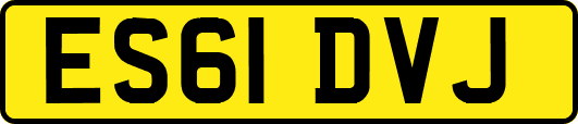 ES61DVJ
