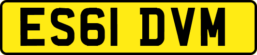 ES61DVM