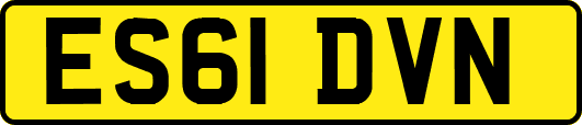 ES61DVN