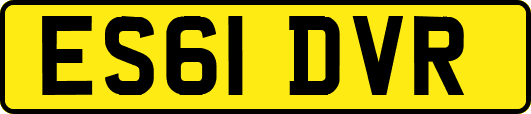 ES61DVR