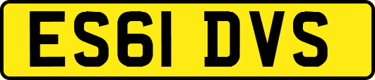 ES61DVS