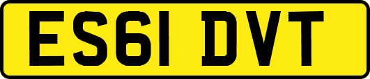 ES61DVT