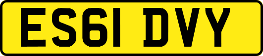 ES61DVY