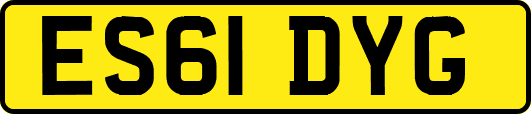 ES61DYG