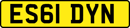 ES61DYN