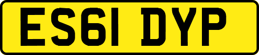 ES61DYP