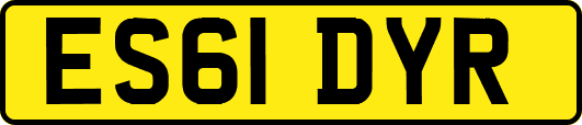 ES61DYR