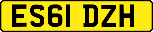 ES61DZH