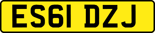 ES61DZJ