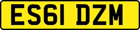 ES61DZM