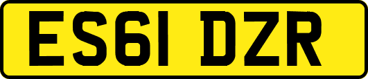 ES61DZR