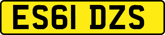 ES61DZS