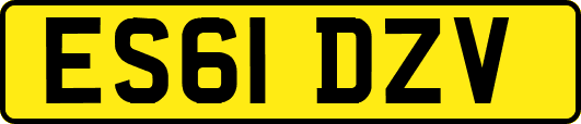 ES61DZV