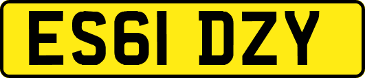 ES61DZY
