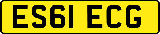 ES61ECG