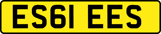 ES61EES