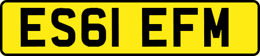ES61EFM