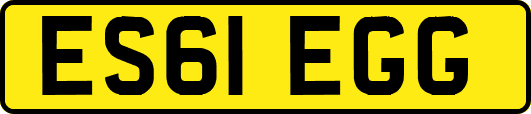 ES61EGG