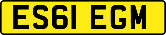 ES61EGM