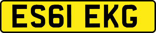 ES61EKG