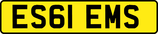 ES61EMS