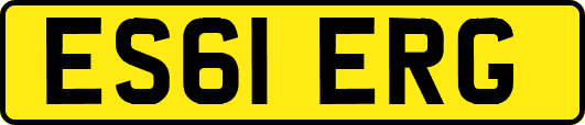 ES61ERG