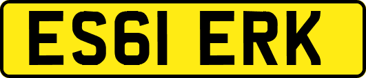 ES61ERK