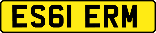 ES61ERM