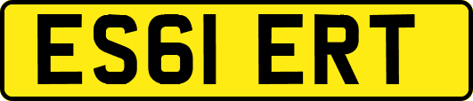 ES61ERT