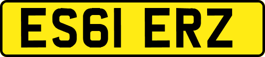ES61ERZ