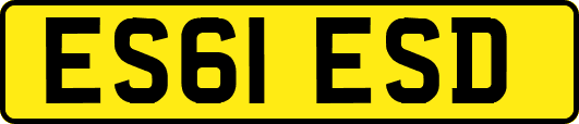 ES61ESD